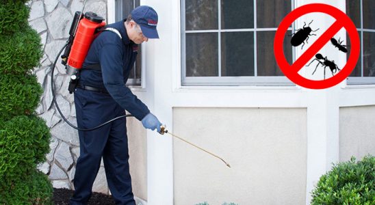 Kayapınar Fare İlaçlama böcek ilaçlama ve haşere kontrolü — ilaclama-tr.com